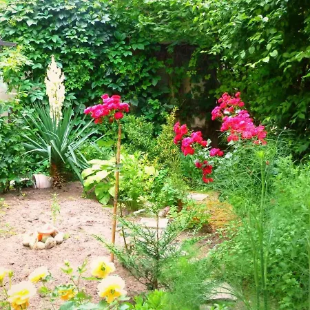 Grandmother's House *